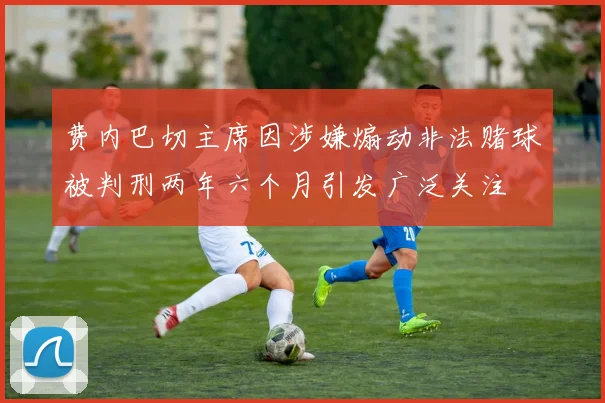 费内巴切主席因涉嫌煽动非法赌球被判刑两年六个月引发广泛关注
