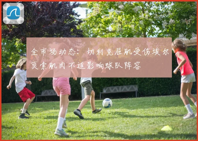 全市场动态：切利克屈肌受伤埃尔莫索肌肉不适影响球队阵容