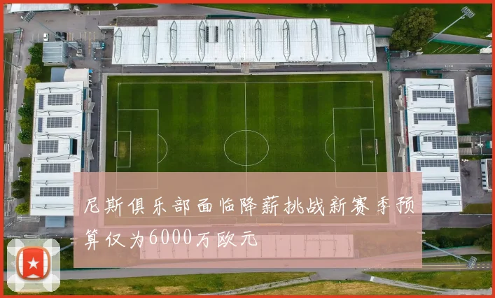 尼斯俱乐部面临降薪挑战新赛季预算仅为6000万欧元